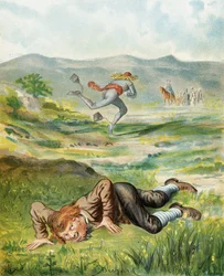 Illustration aus 